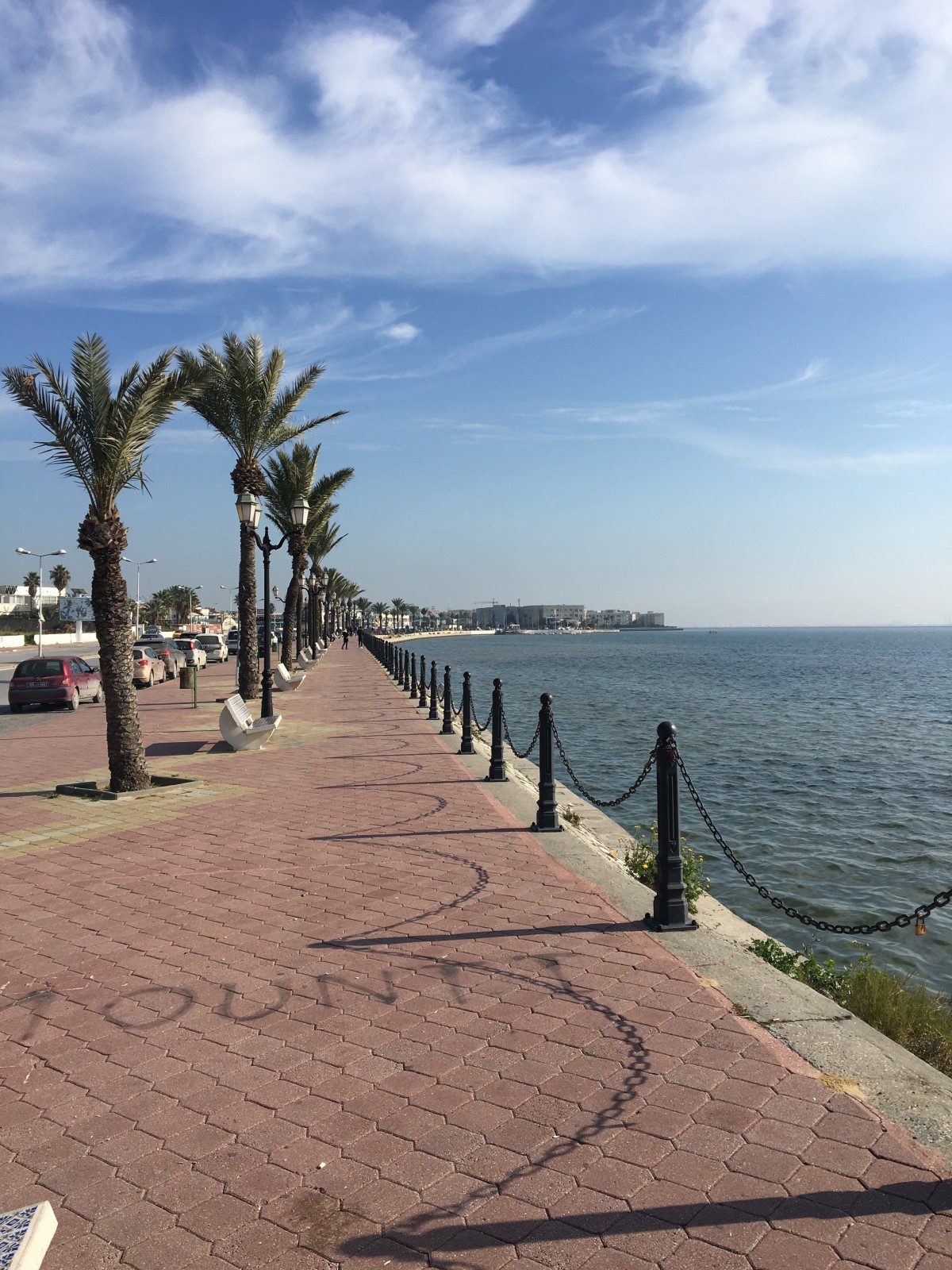 A VEDRE TERRAIN 8584 M2 BERGES DU LAC Vente TERRAINS TOURISTIQUES Tunis