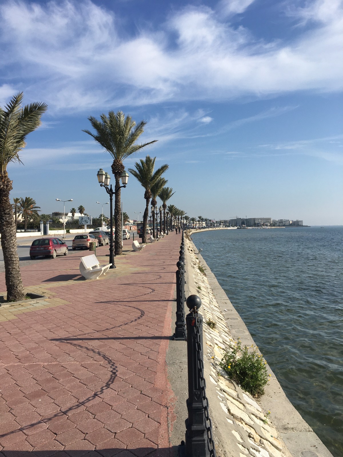 A VEDRE TERRAIN 8584 M2 BERGES DU LAC Vente TERRAINS TOURISTIQUES Tunis