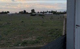 A VEDRE TERRAIN 28000 M2 TUNIS SUD