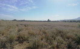 A VENDRE TER 31536 M2 BEN AROUS