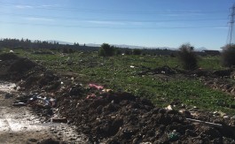 A VENDRE TER INDUSTR 16000 M2 TUN SUD