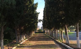 A VENDRE TERRAIN 3500 M2 TUN OUEST