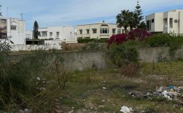 A V TER COMMERCIAL 1000 M2 RTE MARSA