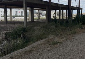 AL LOCAL 10300 EXT A 18000 M2 TU OUEST