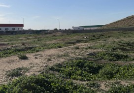 A VENDRE TERRAIN INDUSTR 1 HA TUNIS SUD