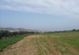 A VENDRE TERRAIN 5000 M2 RTE BIZERTE