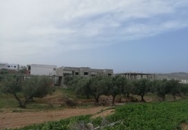 A VENDRE TERRAIN 5000 M2 RTE BIZERTE