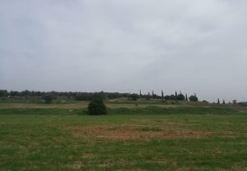 A VENDRE TERRAIN 5000 M2 RTE BIZERTE