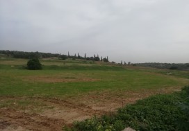 A VENDRE TERRAIN 5000 M2 RTE BIZERTE