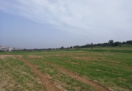 A VENDRE TERRAIN 5000 M2 RTE BIZERTE