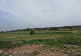 A VENDRE TERRAIN 5000 M2 RTE BIZERTE