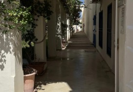 AL LOCAL  7000/15000 M2 TUNIS SUD