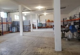 AV CONSERV TOMATES 7000 M2 TUN NORD