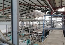 AV CONSERV TOMATES 7000 M2 TUN NORD