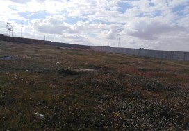 A V TER DEPOT N COUVERT 7094 M2 SFAX