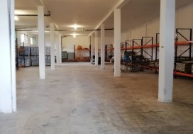 AV CONSERV TOMATES 7000 M2 TUN NORD
