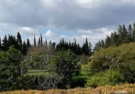 AL VILLA DE MAITRE 240/8000 M2 MORNAG
