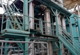 AV CONSERV TOMATES 7000 M2 TUN NORD