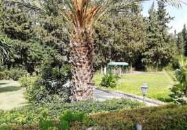 AL VILLA DE MAITRE 240/8000 M2 MORNAG
