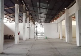 AV CONSERV TOMATES 7000 M2 TUN NORD