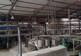 AV CONSERV TOMATES 7000 M2 TUN NORD