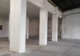 AV CONSERV TOMATES 7000 M2 TUN NORD