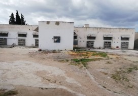 A L CENTRE AVICOLE 3270/8800 M2 MORNAG