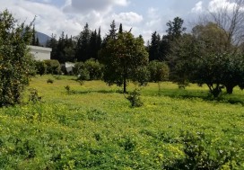 AL VILLA DE MAITRE 240/8000 M2 MORNAG
