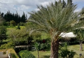 AL VILLA DE MAITRE 240/8000 M2 MORNAG