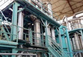 AV CONSERV TOMATES 7000 M2 TUN NORD
