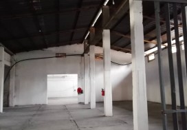 AV CONSERV TOMATES 7000 M2 TUN NORD