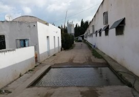 A L CENTRE AVICOLE 3270/8800 M2 MORNAG