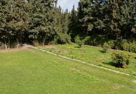 AL VILLA DE MAITRE 240/8000 M2 MORNAG