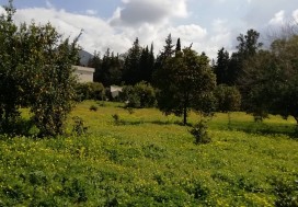 AL VILLA DE MAITRE 240/8000 M2 MORNAG
