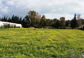 A L CENTRE AVICOLE 3270/8800 M2 MORNAG