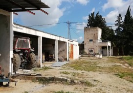 A L CENTRE AVICOLE 3270/8800 M2 MORNAG