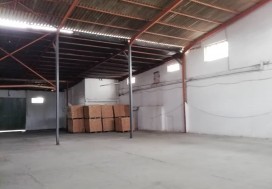 AV CONSERV TOMATES 7000 M2 TUN NORD