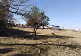 A VENDRE TERRAIN INDUSTR 8964 M2 A SFAX