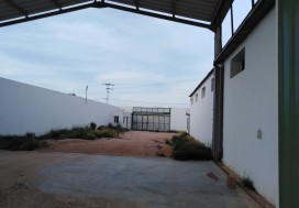 A V UNITE DECORTICAGE FRUITS SECS  SFAX