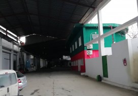 AV CONSERV TOMATES 7000 M2 TUN NORD