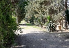 AL VILLA DE MAITRE 240/8000 M2 MORNAG
