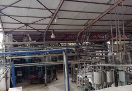 AV CONSERV TOMATES 7000 M2 TUN NORD