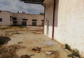 A L CENTRE AVICOLE 3270/8800 M2 MORNAG