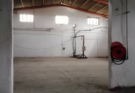 AV CONSERV TOMATES 7000 M2 TUN NORD