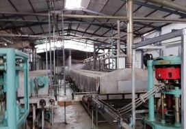 AV CONSERV TOMATES 7000 M2 TUN NORD