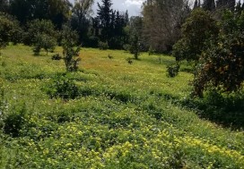 AL VILLA DE MAITRE 240/8000 M2 MORNAG