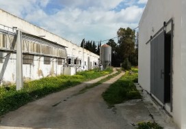 A L CENTRE AVICOLE 3270/8800 M2 MORNAG