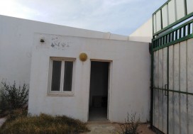 A V UNITE DECORTICAGE FRUITS SECS  SFAX