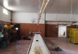 AV UNITE CONDIT AGRO ALIM 1770/4H NABEUL