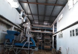 A V UNITE DECORTICAGE FRUITS SECS  SFAX